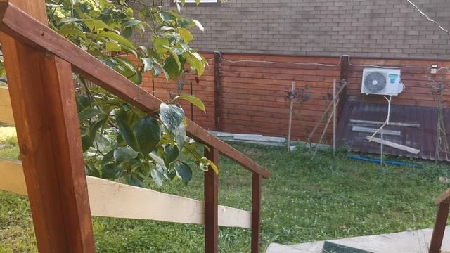 СОЧИ ГОРНОЕ ЛОО УТРО 29.06.2025 смотреть онлайн