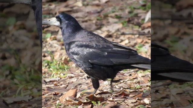 Это интересно-16