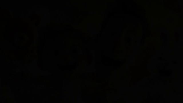 Папулька повторюлька