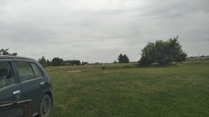 Первые метры самодельного электро буксировщика.