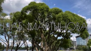 Наб. Мартынова