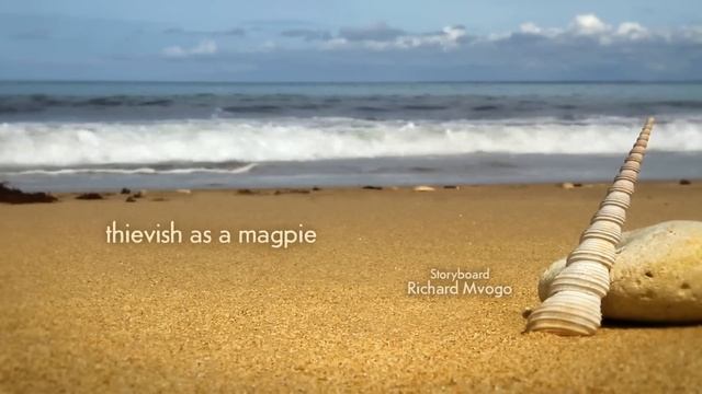 Забавные букашки, анимационный фильм смотреть онлайн