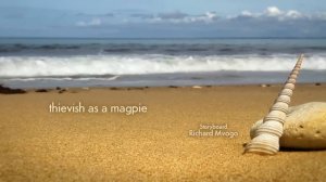 Забавные букашки, анимационный фильм