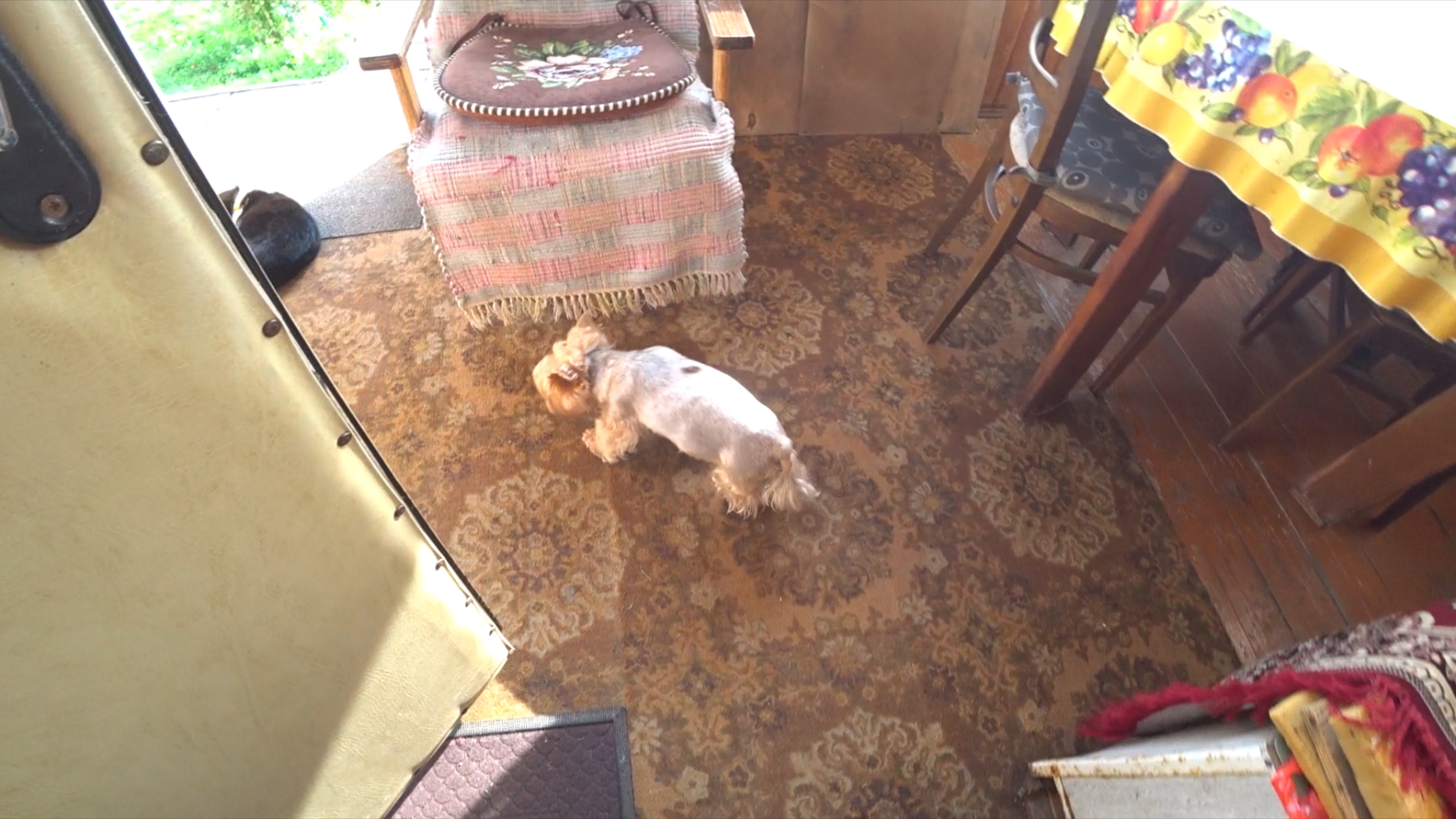 «Любаня предательница ! Не пойду к ней больше…». Подпись Женя. смотреть онлайн