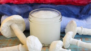 Как сделать клейстер для ватных игрушек