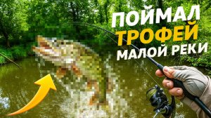 ПОЙМАЛ ТРОФЕЙ МАЛОЙ РЕКИ / РЫБАЛКА НА СПИННИНГ