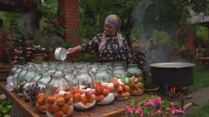 Kənd Həyatı. Храните фруктовый компот годами! Холодильник не нужен