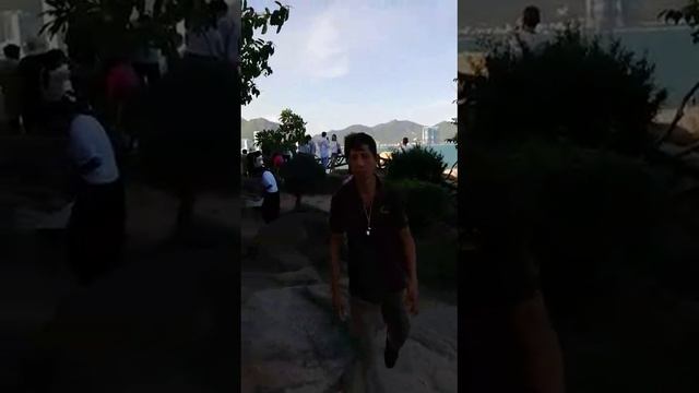 Сад каменей