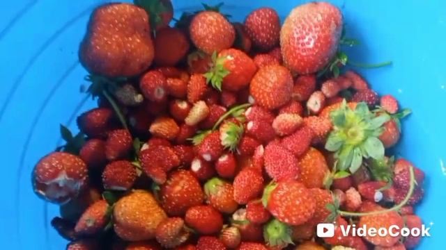 Земляника с клубникой смотреть онлайн