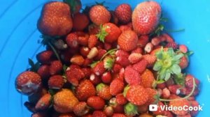 Земляника с клубникой