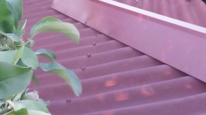 Покраска старого ондулина. Авторское видео