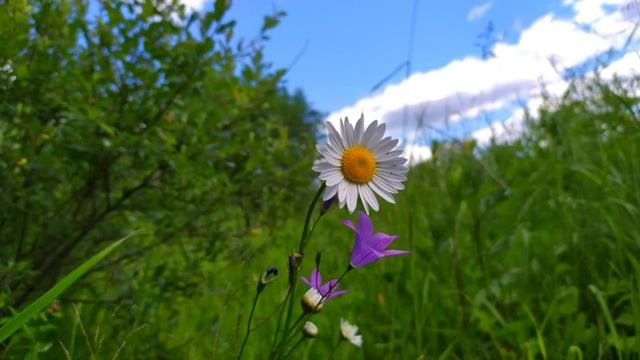 Анна Опарина "Есть люди - "человеки" ... есть другие" читает Любовь Б. смотреть онлайн