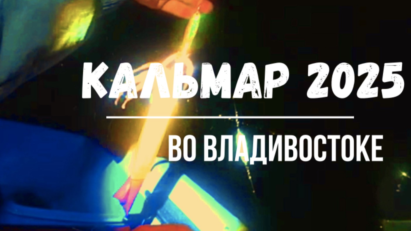 Пошёл кальмар во Владивостоке 2025