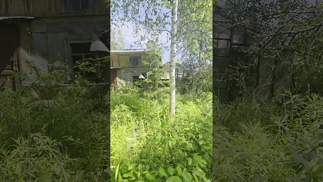 1000145690.mp4 смотреть онлайн