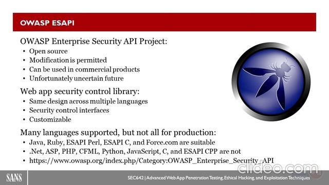 5.2 - Developer Created Defenses смотреть онлайн