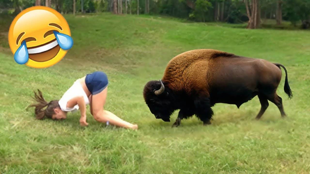 САМЫЕ СМЕШНЫЕ ВИДЕО 2025 ГОДА #10 смотреть онлайн