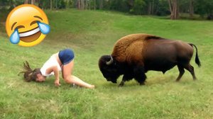 САМЫЕ СМЕШНЫЕ ВИДЕО 2025 ГОДА #10