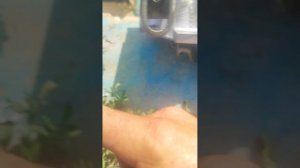 гбц форд на черри амулет