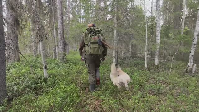 БЕДА В ТАЙГЕ. ЧТО С ТАЁЖНОЙ ИЗБОЙ. ИЗБУ СМЫЛО ВЕСЕННИМ ПАВОДКОМ смотреть онлайн