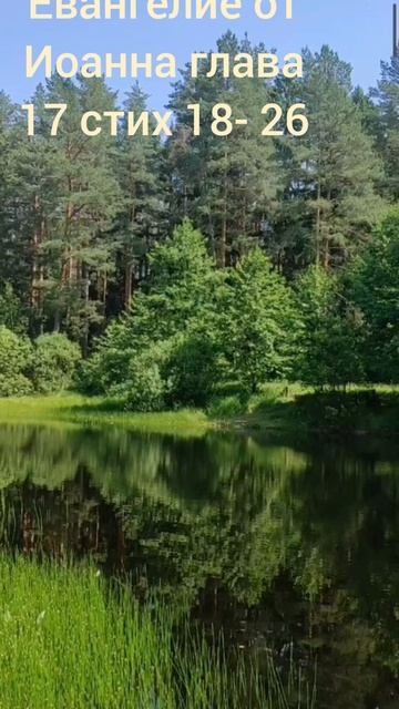 (71) Евангелие от Иоанна глава 17 стих 18-26 смотреть онлайн