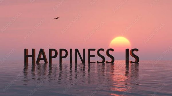 Happiness