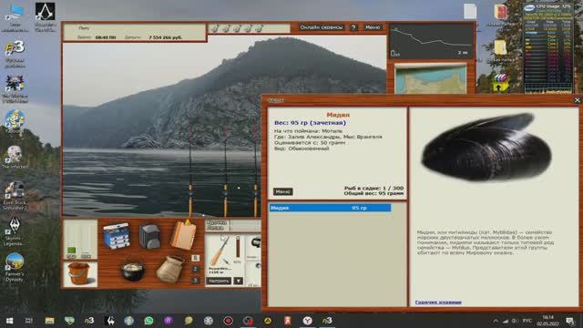 рр3 Мидия на Заливе Александры мидия