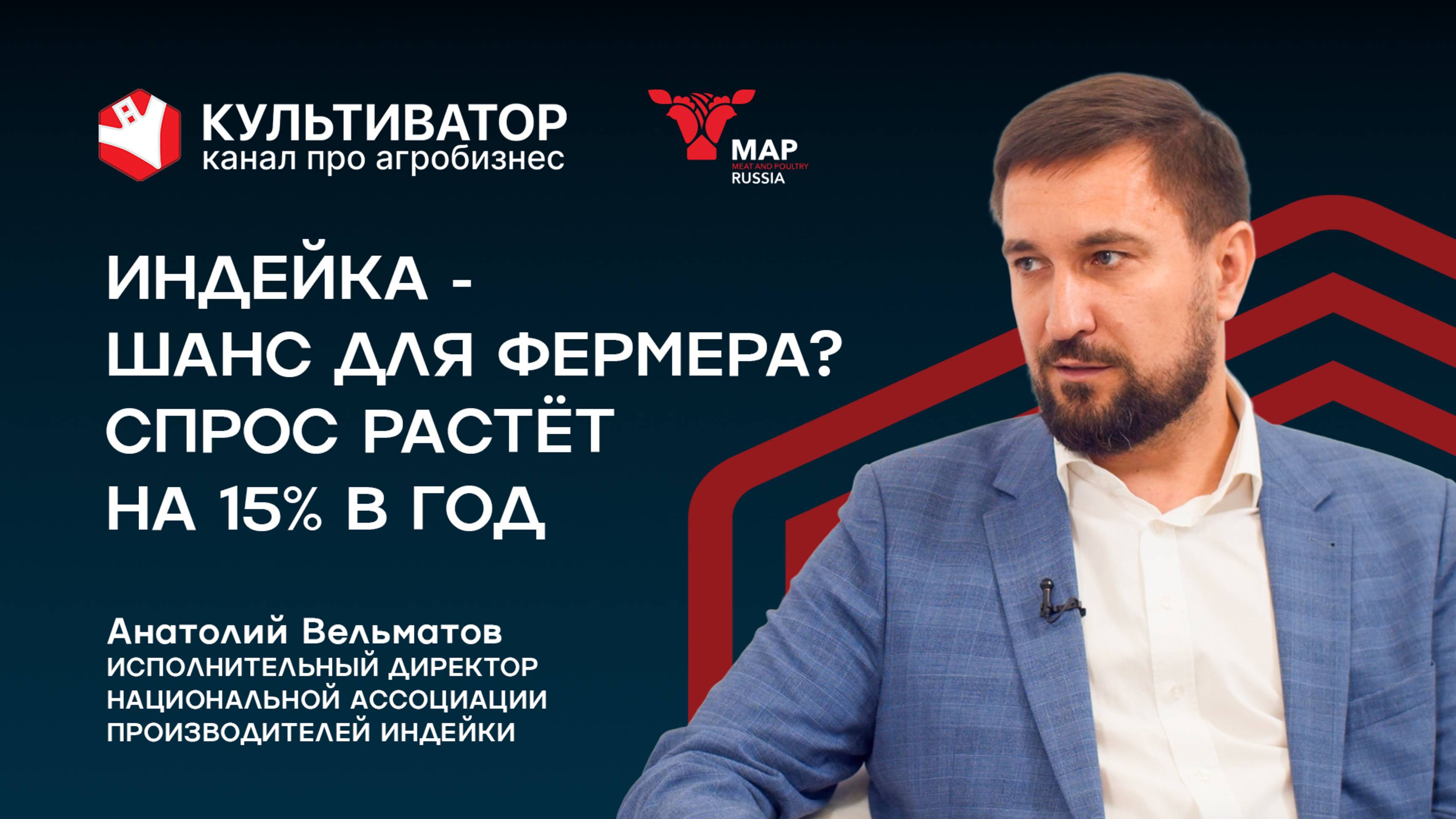 Индейка порвёт рынок? Как Россия построила отрасль с нуля | Анатолий Вельматов | НАПИ смотреть онлайн