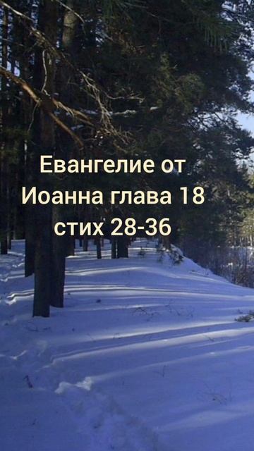 (75) Евангелие от Иоанна глава 18 стих 28-36 смотреть онлайн