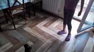 Весёлые игры