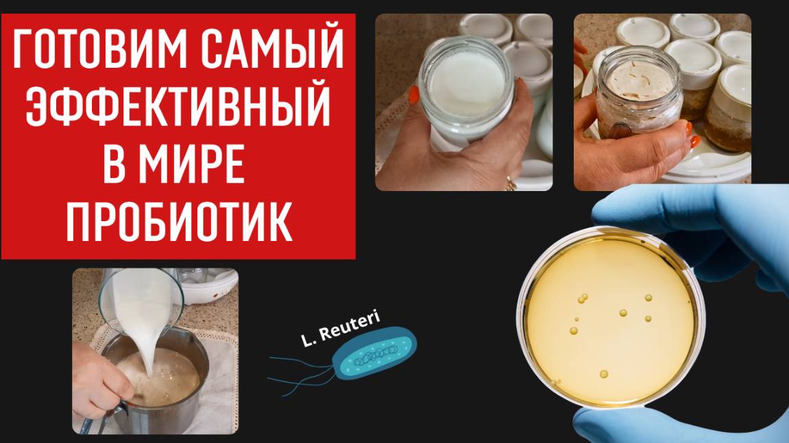 Могущественный пробиотик для запуска омоложения - готовим сами самый полезный йогурт смотреть онлайн