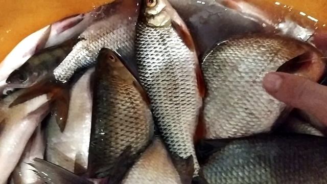 зимняя рыбалка