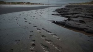 НЕАНДЕРТАЛЬЦЫвся ПРАВДА,что от нас СКРЫВАЛИ.Лекция для сна.