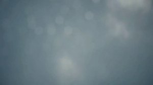 Гадзило бамбардиро. Зараженный самолёт. Часть 2.