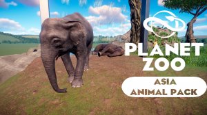 Planet Zoo: Asia Animal Pack - Борнейский слон