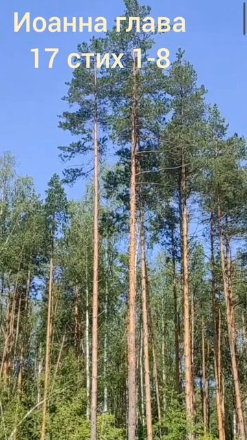 (69) Евангелие от Иоанна глава 17 стих 1-8 смотреть онлайн