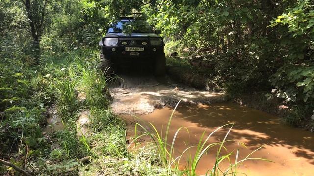 Shortcut Magic Forest 4k