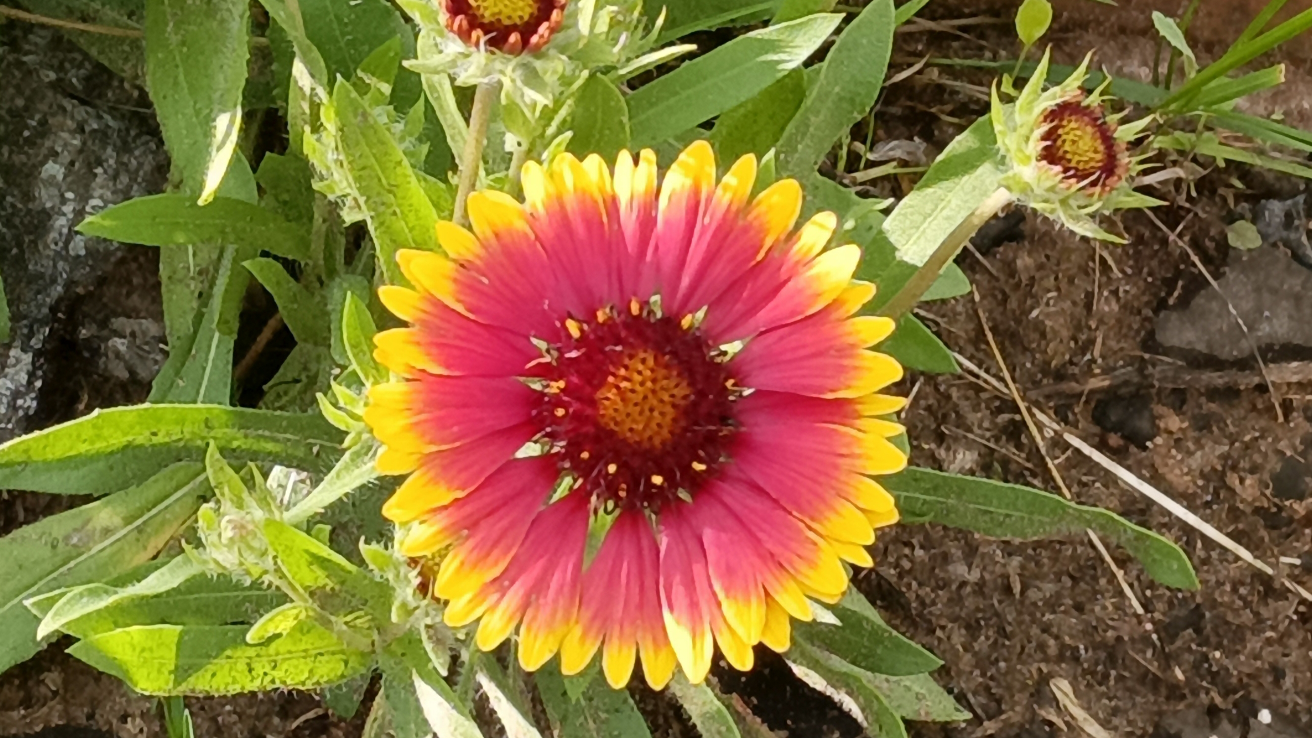 29-06-2025💥Влог💥воскресенье смотреть онлайн