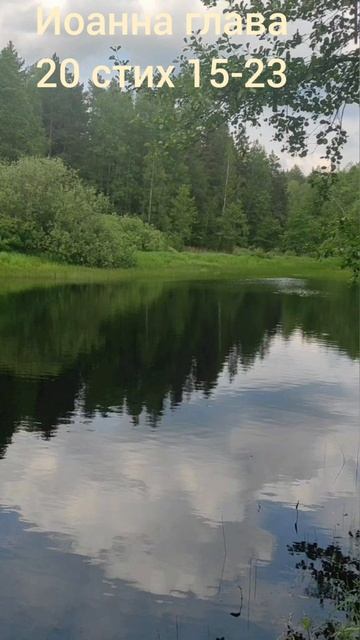 (83) Евангелие от Иоанна глава 20 стих 15-23 смотреть онлайн