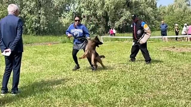 2 Отл. СС Ирендорф ВУДУ +++ №66. КЧК ВЕЛИКИЙ НОВГОРОД 15 июня`25 В.Федоров Моно н/о