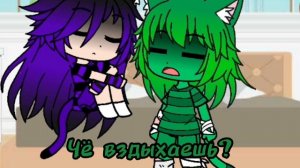 врискас и кошка 24 часа в 1 комнате.