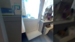 Утро с реборном Никой🍼☀️