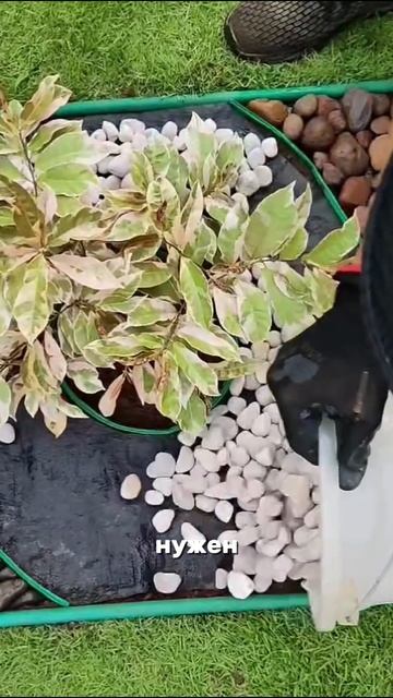 У нас теперь райский уголок вместо огорода. смотреть онлайн