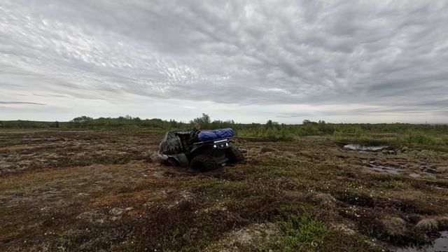 Используем по назначению