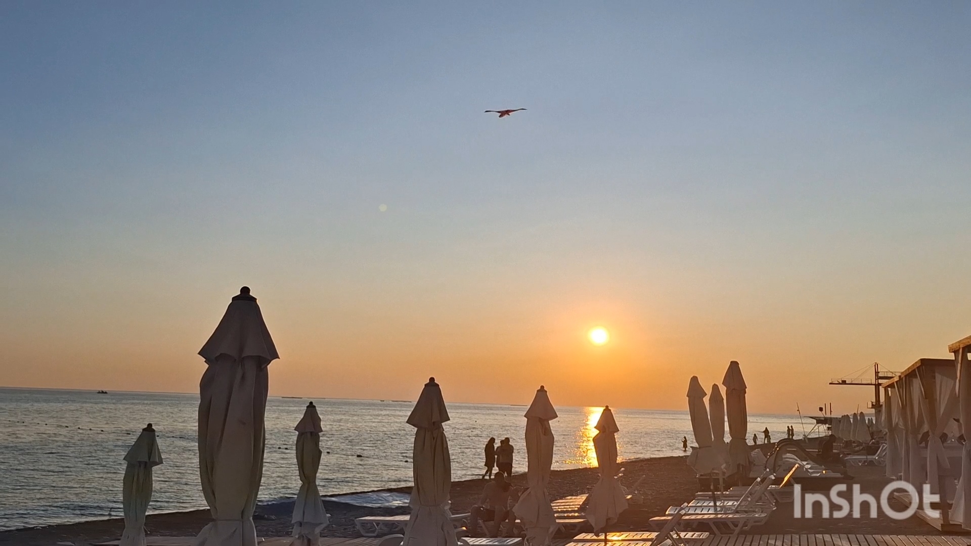 река Псезуапсе/вечернее Лазаревское/уезжаем домой.