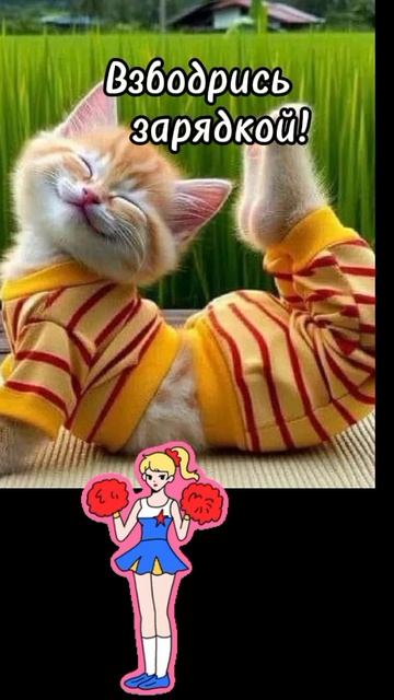 доброе утро☀ 🌝⏰ смотреть онлайн