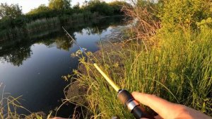 проверка нового водоёма в районе г.Ачинск а там есть рыба