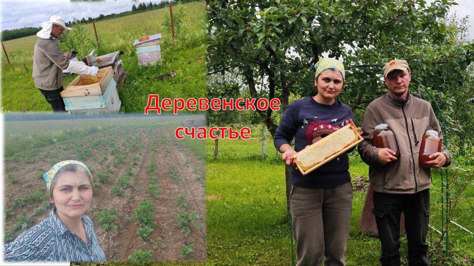 Первый мед, насыщенное лето смотреть онлайн