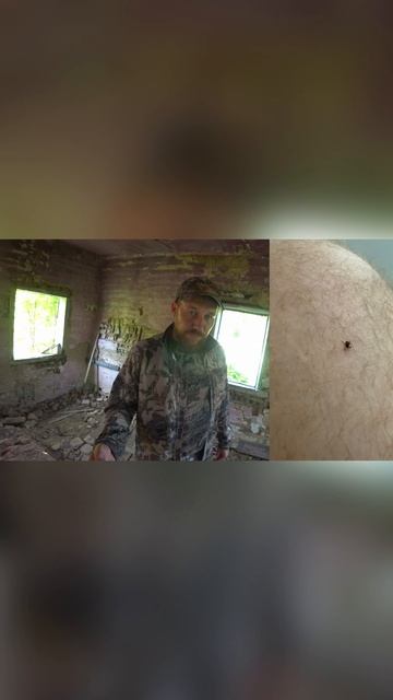 Как вы спасаетесь от клещей? смотреть онлайн