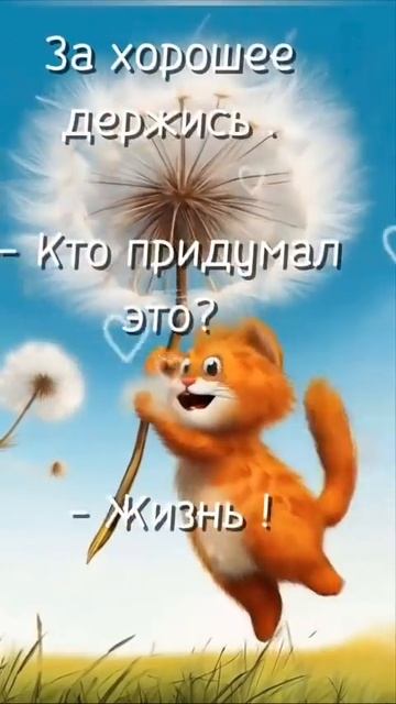 Доброе утро, Друзья ☕💖💖💖 смотреть онлайн