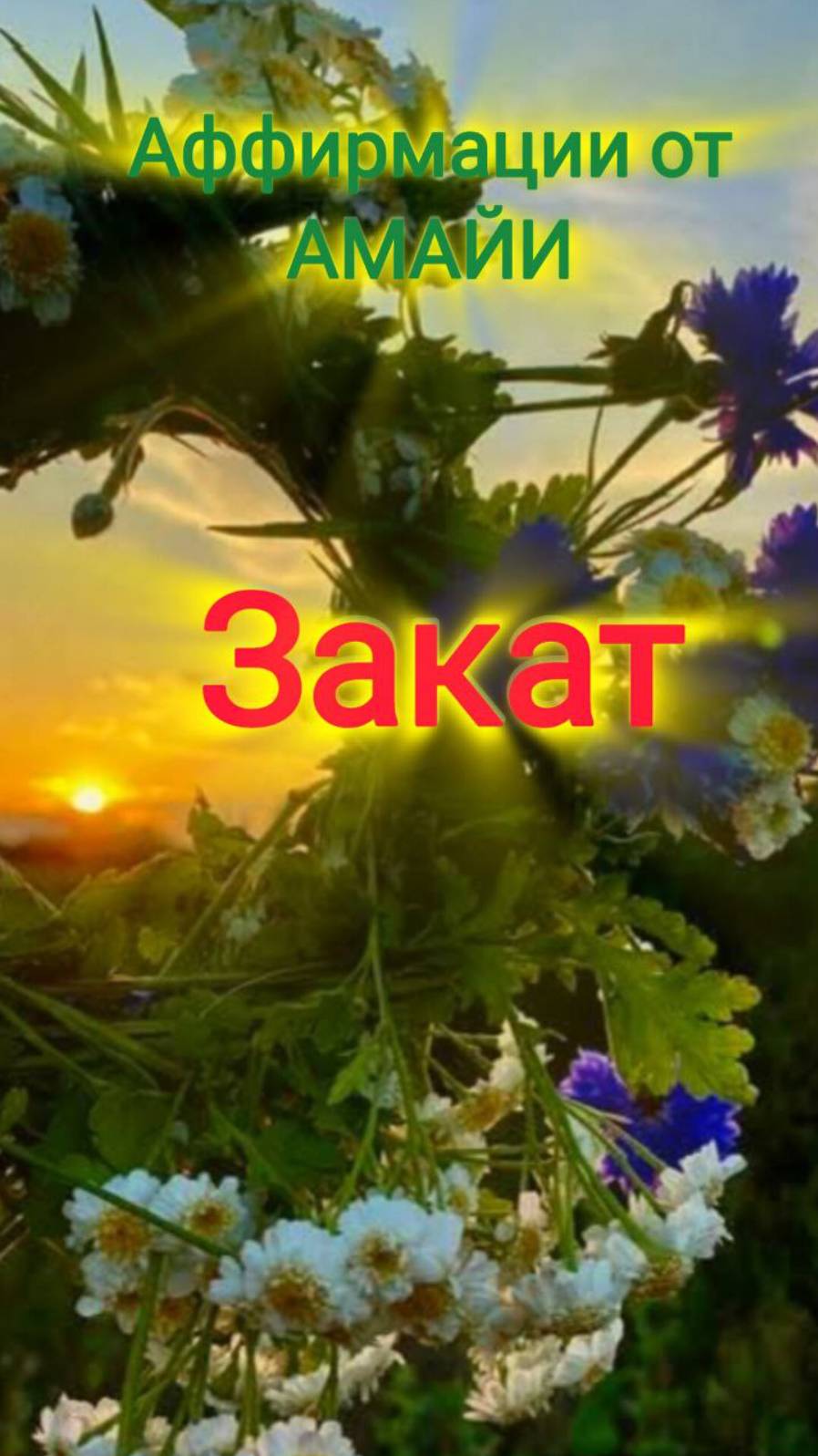 Закат. Аффирмации от Амайи #вселеннаяя #релакс #аффирмации